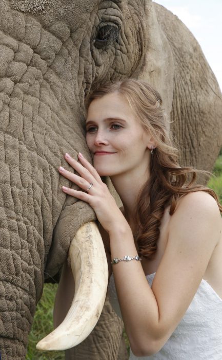 Hochzeitsfotografie mit Elefanten