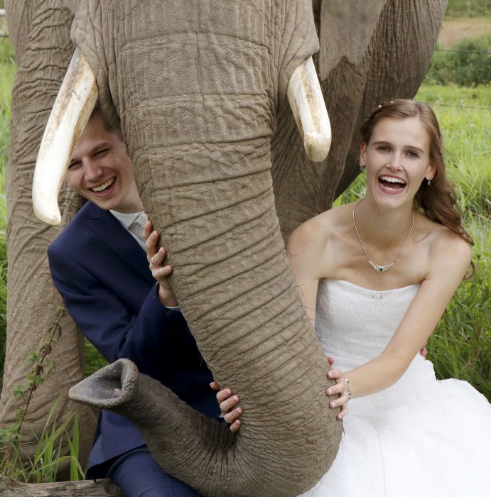 Hochzeitsfotografie mit Elefanten